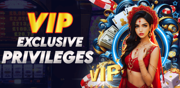 VIP Exclusive Privileges